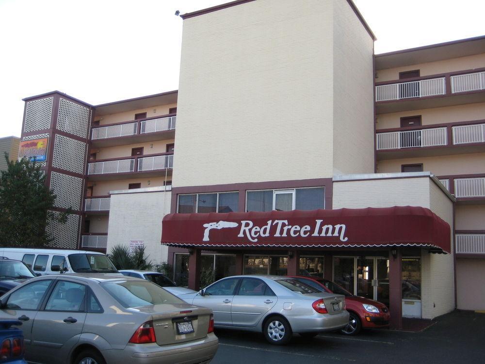 Oasis Hotel North Myrtle Beach Eksteriør bilde